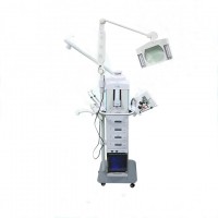 Hot sale 19 in 1 multifunction facial beauty machine/spray facial beauty machine